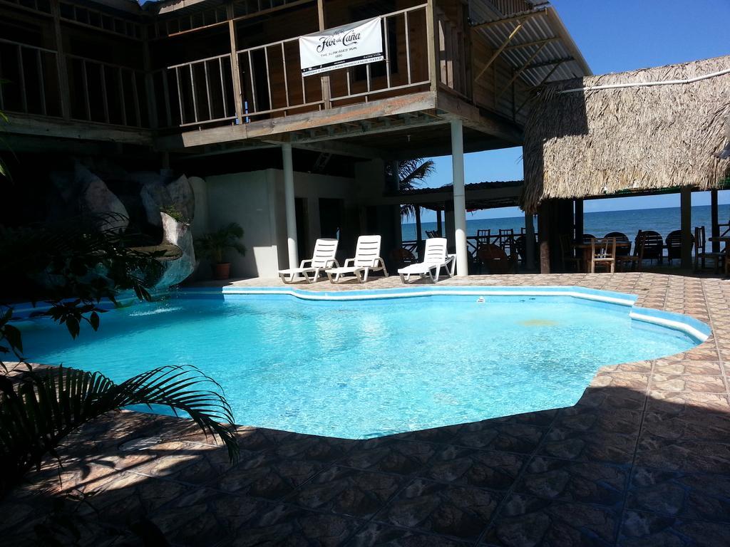 La Delphina Bed And Breakfast Bar And Grill La Ceiba Værelse billede